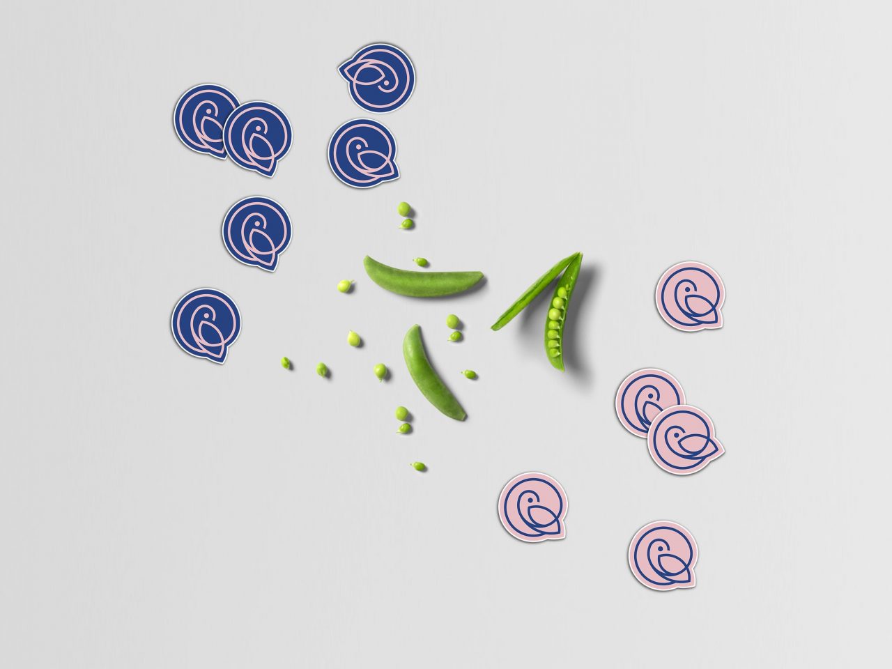 Priroda rebranding concept Priroda rebranding concept