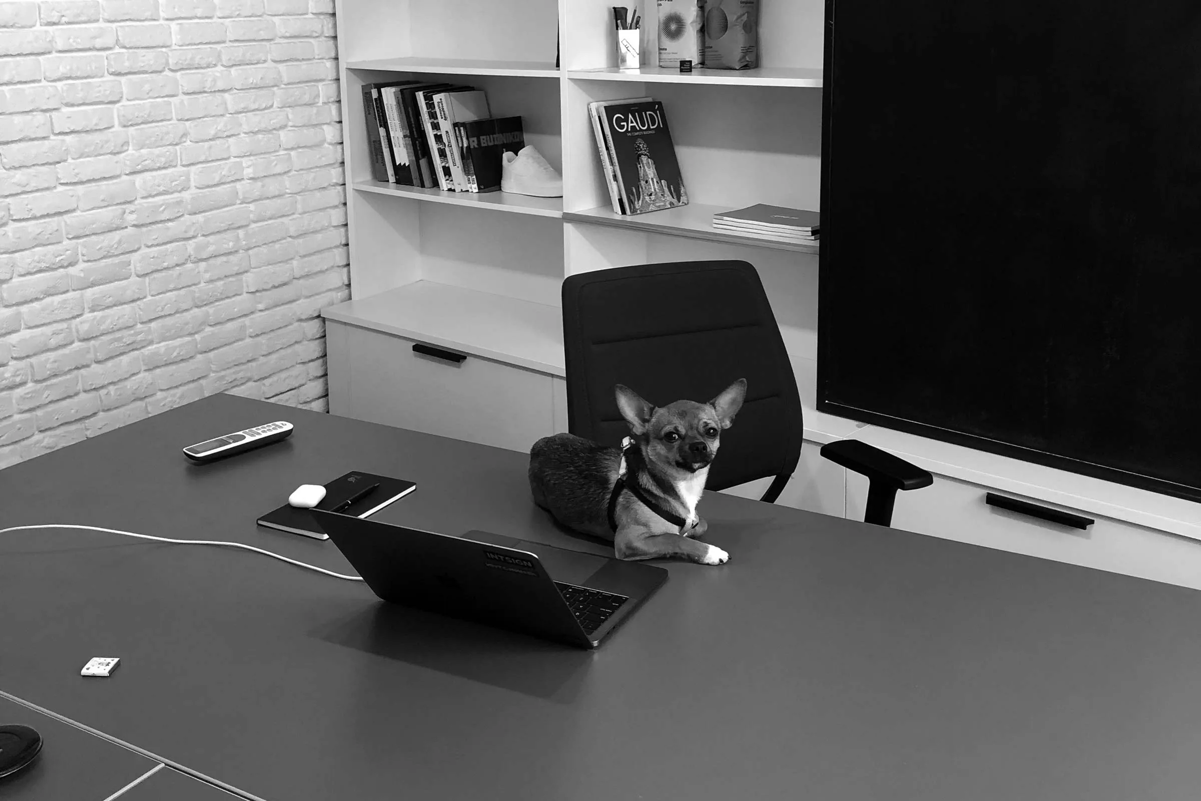 intsign office evil