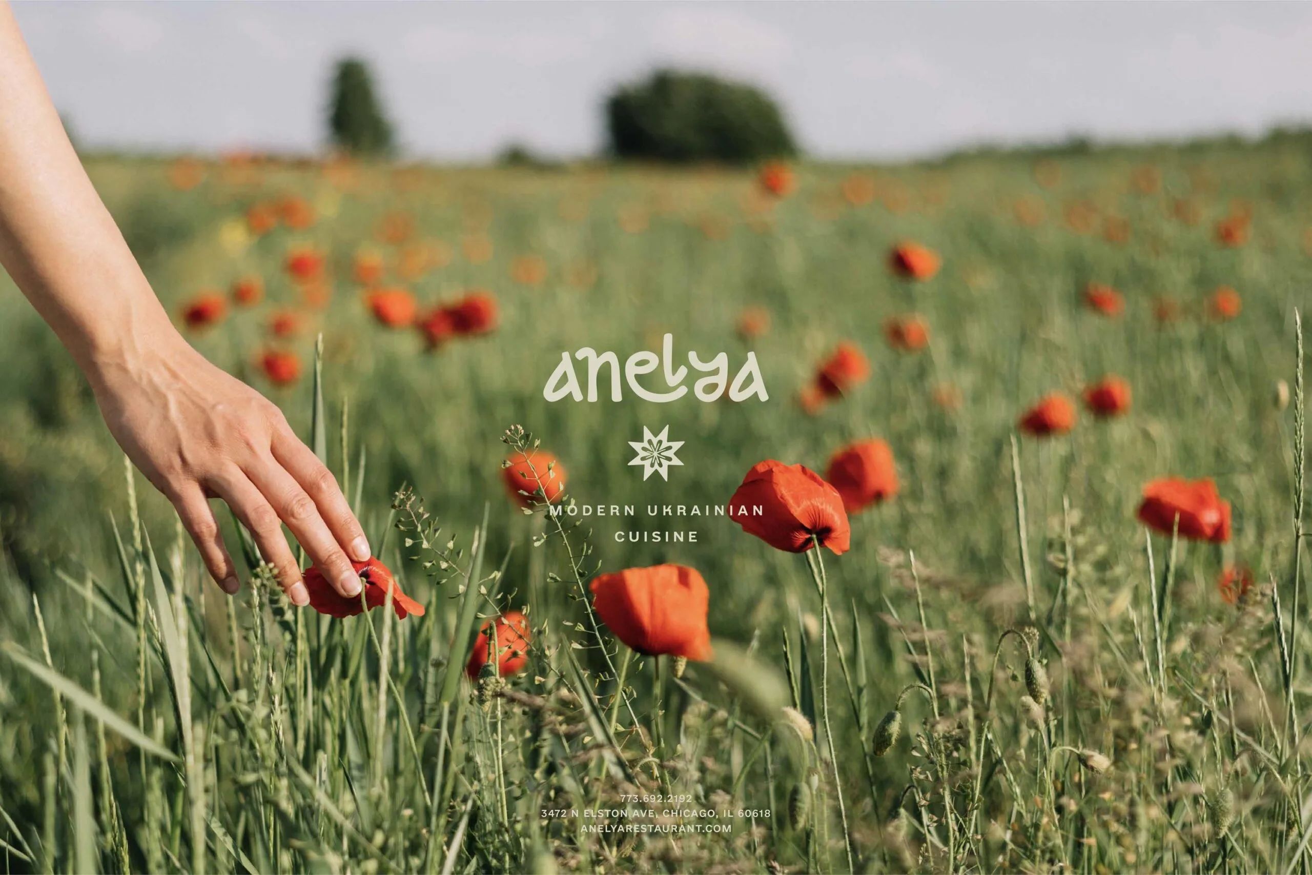 Anelya Restaurant Branding Presentation 04 scaled