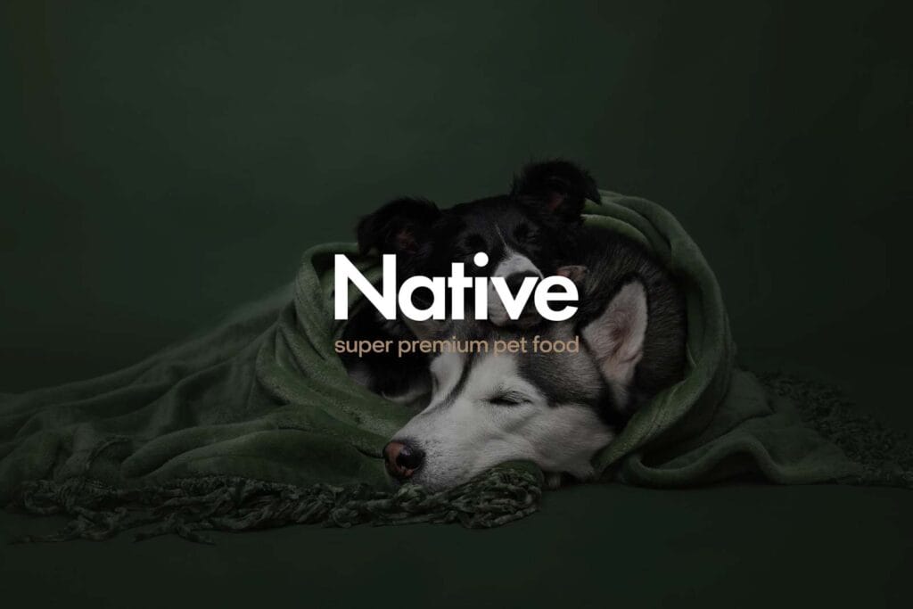 Native-Brand-Presentation-01