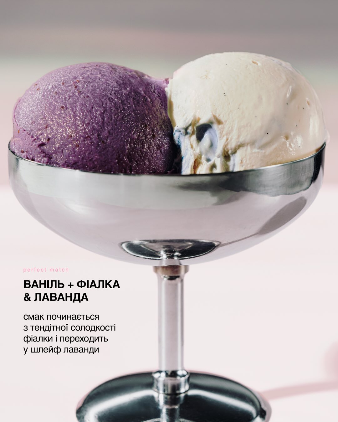 SaveClip.App 629813061 18060499748656715 3238262439605595265 n